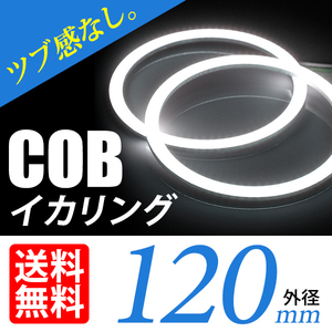 COB イカリング/白/ホワイト/2個/120mm/ヘッドライト加工 プロジェクター ウーハーに/ネコポス 送料無料