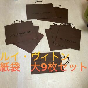 ルイヴィトン 紙袋 ９枚 セット Louis Vuitton 大きい 袋 ブレスレット ピアス イヤリング 時計 アクセサリー ケース 小物 袋 v13