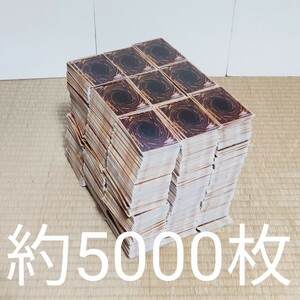 【遊戯王カード 約5000枚セット】大量/トレカ/まとめ売り/YU-GI-OH/トレーディングカードゲーム/遊戯王/カード/遊戯