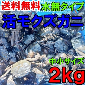 活モクズガニ【海水なしタイプ】 小中サイズ２kg(目安 20-40杯) ツガニ つがに 宮城県松島湾産 なんと海です！ もくずがに