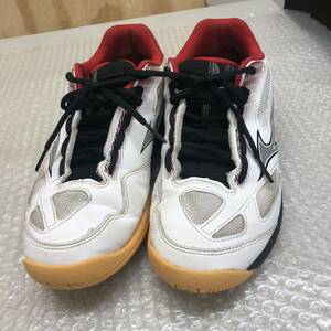 MIZUNO BADMINTON SKYBLASTER 3 24.5 中古 現状品 ミズノ バドミントン シューズ スカイブラスター 