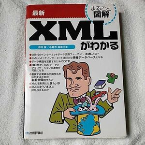 まるごと図解 最新XMLがわかる 単行本 池田 実 小野寺 尚希 9784774110653