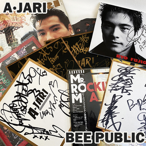 希少 レア 美品 A-JARI アジャリ BEE PUBRIC ビーパブリック LP レコード セット 直筆 サイン ミニパネル 付き バンド 音楽 コレクション