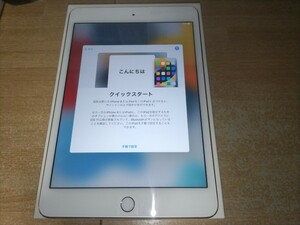 iPad mini 4　本体のみ