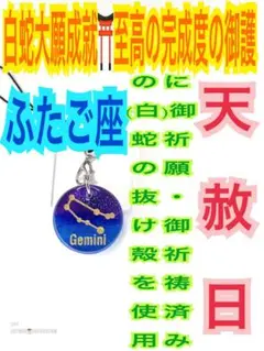 ふたご✨双子座✨宇宙✨星座✨蛇の抜け殻✨白蛇のお守り【天赦日ご祈祷済】明青紫AM