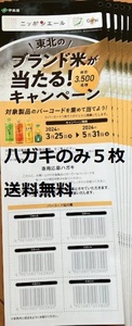 【懸賞応募はがきのみ５枚】伊藤園 東北のブランド米が当たる！キャンペーン 数量：２★送料無料