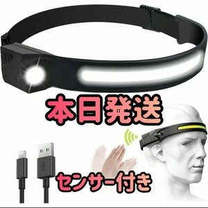 【新品 本日発送】ヘッドライト ヘッドランプ ライト USB IPX4防水 350ルーメン高輝度 サイズ調節可能 軽量 LED 釣り登山 アウトドア