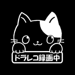 ドラレコ録画中　可愛い手書き風　三毛猫(ネコ）Ver　カッティングステッカー　ドライブレコーダーに