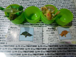 Furuta チョコエッグ ペット動物コレクション フィギュア・ミドリガメ 2種セット H