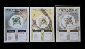 【わちふぃーるど】ダヤン 手作りデコカード3種セット 2006年発売