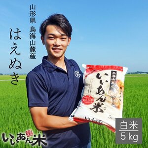 山形県庄内産　『はえぬき』　白米５ｋｇ　慣行栽培米　いいあん米　令和５年産　産地直送　送料無料！！　米　お米　人気