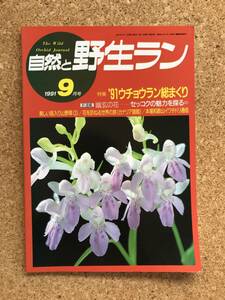 自然と野生ラン 1991年9月号　エビネ ウチョウラン ミヤマウズラ 富貴蘭 イワチドリ セッコク ※ 園芸JAPAN