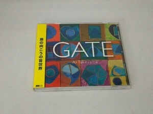 竹山愛 CD GATE
