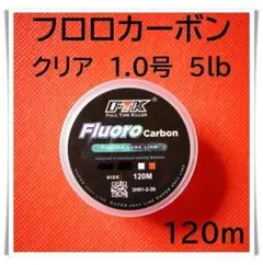 フロロカーボン　1.0号　5lb 120m （クリア）釣り糸　ライン