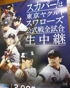 定形外送料無料 東京ヤクルトスワローズ　非売品ポスター　山田哲人　坂口智隆　小川泰弘　石川雅規　秋吉亮