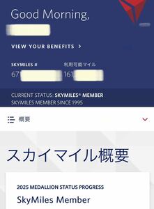★デルタ航空　90000マイル　手数料込み