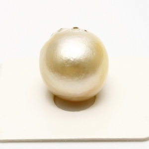 南洋白蝶真珠パールルース　18×17mm　ナチュラルゴールドカラー