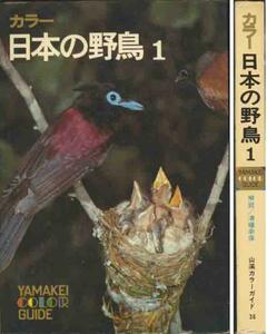 カラー写真図鑑「日本の野鳥」①