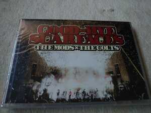 DVD THE MODS /THE COLTS GOOD-BYE SCARFACES モッズ コルツ 森山達也 Kozzy Iwakawa 日比谷 未開封