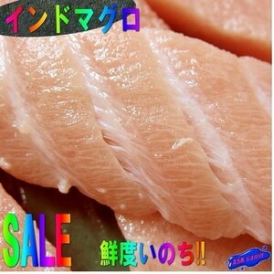 脂のってます!!「インドまぐろ天身500g」...柵としとなります。