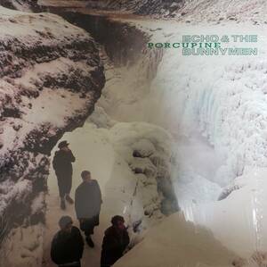 12inch USA盤 ECHO & THE BUNNYMEN ■ PORCPINE ■ 