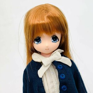 中古品 アゾン オリジナルドール えっくす☆きゅーと ふぁみりー 1年∞組 みなみ先生