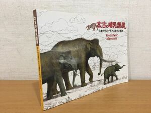 【送料160円】図録 太古の哺乳類展 日本の化石でたどる進化と絶滅 国立科学博物館 2014年
