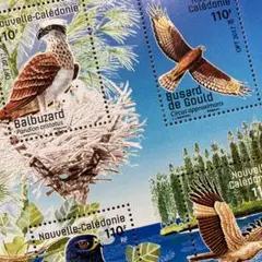 51419セール現品限り　外国切手未使用　ニューカレドニア発行猛禽類小型シート