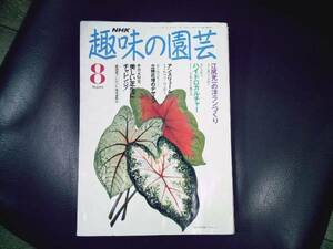 ★　《中古本》　NHK　趣味の園芸　★平成　３年８月　上