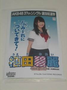 未開封　AKB48 ラブラドールレトリバー 劇場盤 生写真　植田碧麗