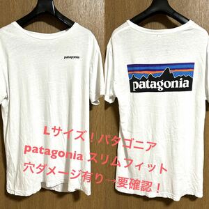 Lサイズ！パタゴニア patagonia 古着半袖ロゴTシャツ 白 スリムフィット オーガニックコットン 穴ダメージ有り→要確認！ メキシコ製