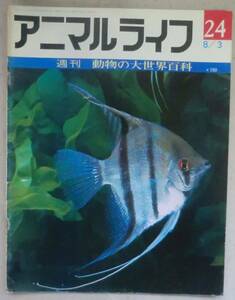 古書◆雑誌◆週刊アニマルライフ 第２４号◆エリマキシギ◆エリマキトカゲ◆エンゼルフィッシュ◆エンペラーペンギン◆オイカワ/オウギワシ