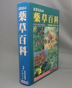 ☆おきなわの薬草百科　　多和田真淳・大田文子共著　◆新星図書出版　★特価！　（沖縄の薬草百科・植物・民間療法・漢方・琉球）