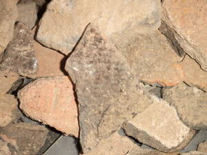 縄文土器と化石？