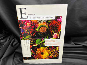 写真集 植物図鑑 ENCYCLOPEDIA OF FLOWERS 椎木俊介