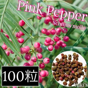 ピンク・ペッパー 種子x100[耐寒性スパイスの木] Schinus molle
