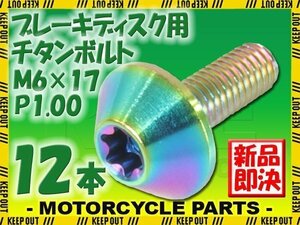 メール便OK！M6×17 P1.00 チタンボルト ブレーキディスクボルト 12本セット 6mm 17mm ピッチ1.0 ホンダ アフリカツイン CRF1000L CB1000R