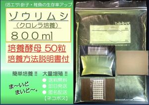 ●送料無料 匿名配送 即日発送● ゾウリムシ クロレラ培養 800ml +ビール酵母 50粒　【めだか 針子 稚魚 金魚 シュリンプ 熱帯魚】活餌