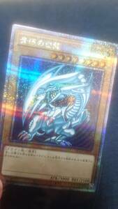 青眼の白龍 【25thシークレットレア】 【遊戯王 side pride】クオシク ブルーアイズ yugioh