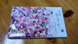 桜の通り抜け記念 令和2年 貨幣セット 今年の花 春日井 額面666円