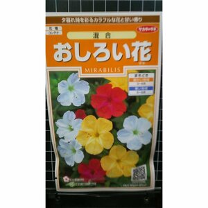 ３袋セット おしろい花 オシロイバナ 種 郵便は送料無料