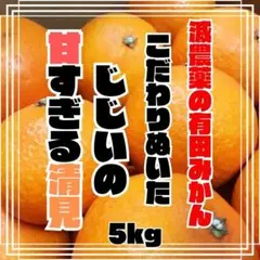 減農薬 甘い うまい 安いの有田の清見 きよみ 5kg  減農薬