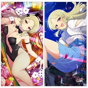 未開封 カーテン魂 シノビマスター 閃乱カグラ NEW LINK ロングクッションカバー 四季 