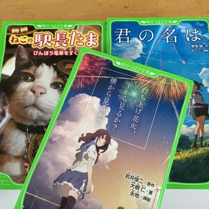 3冊　打ち上げ花火、下から見るか？横から見るか？ （角川つばさ文庫　Ｃお２－１） 岩井俊二　君の名は。　ねこの駅長たま　新海誠