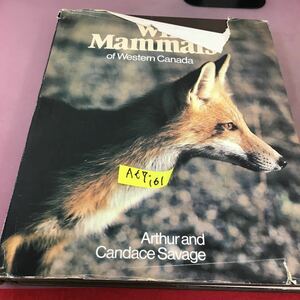 A67-161 Wild Mammals of Western Canada 外国語書籍 破れ多数有り