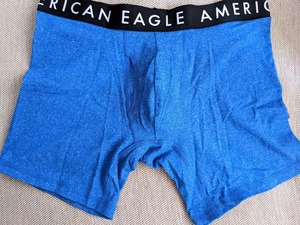 * 2点のみ * AE アメリカンイーグル ボクサーブリーフ トランクス AEO 6" Classic Boxer Brief M / Blue パロット *