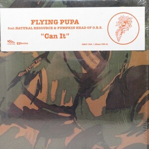 Flying Pupa / Can It [GUNLP-1004]クリーニング済　再生◎ 良品 レコード 12inch 何枚でも送料一律