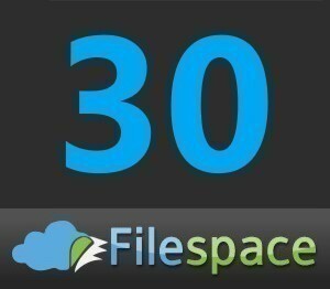 Filespace30日公式プレミアムクーポン　通常1分で即時発送 有効化期限なし買い置きにも　 親切サポート 必ず商品説明をお読み下さい。