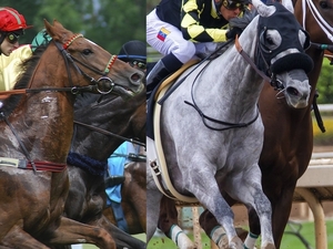 攻守の１点ワイド馬券術・進撃の１点枠連馬券術　セット