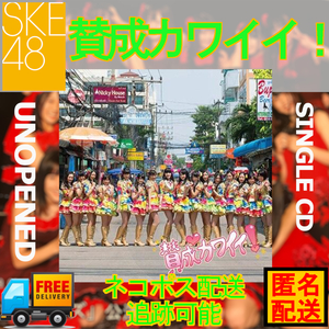 新品 未開封品　SKE48　賛成カワイイ！　シングルCD